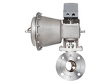 Control Valves